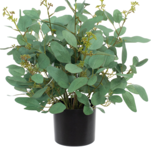 Brandklassad Poppel (FR) 40 cm | konstgjord krukväxt