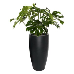 Hög svart rund kruka Rondino H:67 cm