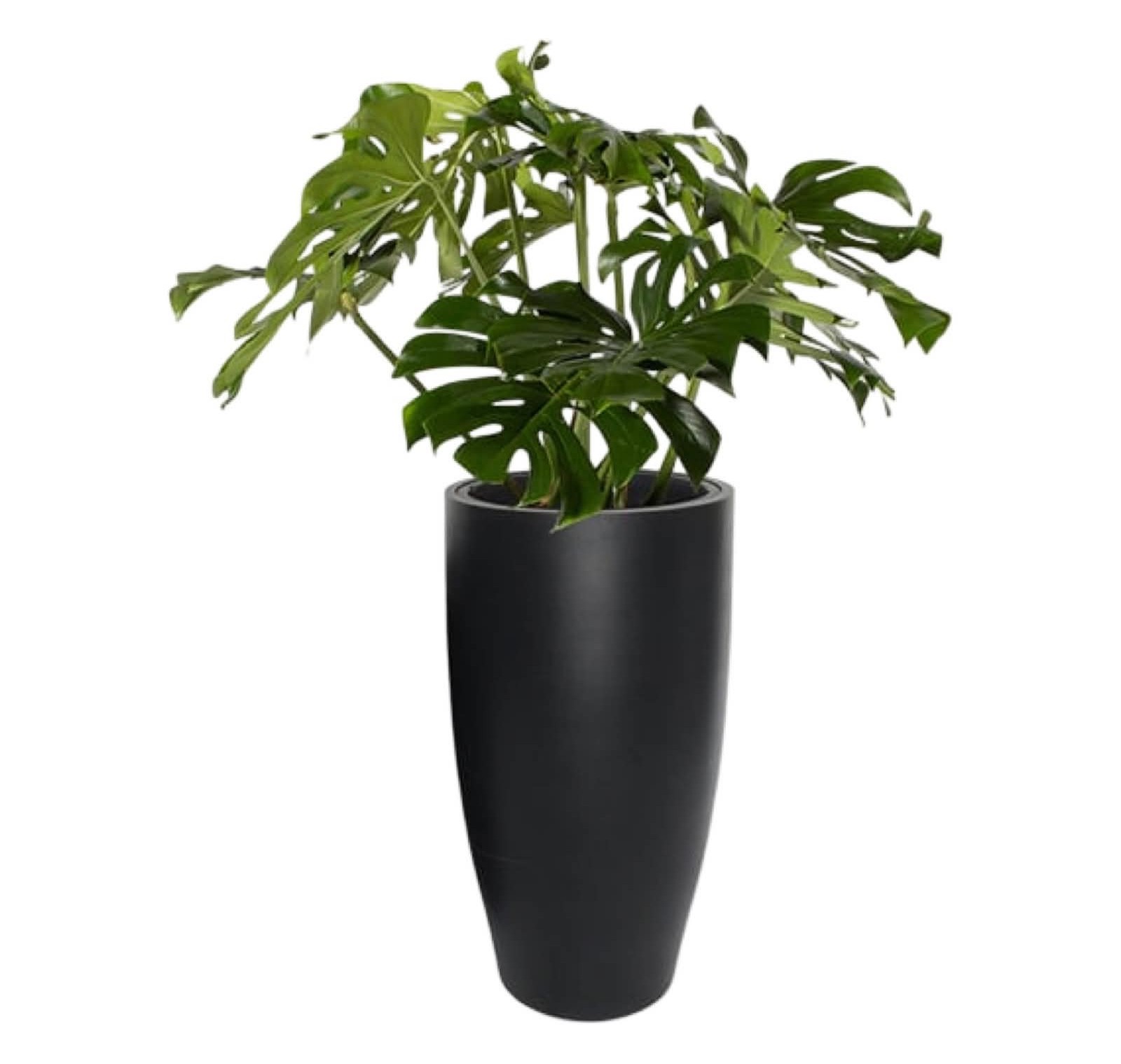 Hög svart rund kruka Rondino H:67 cm