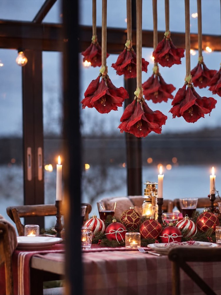 divi-julbild-03