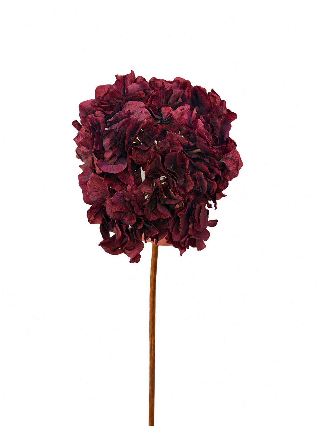 Konstgjord hortensia bordo 70 cm med fyllig vinröd blomklase på lång stjälk